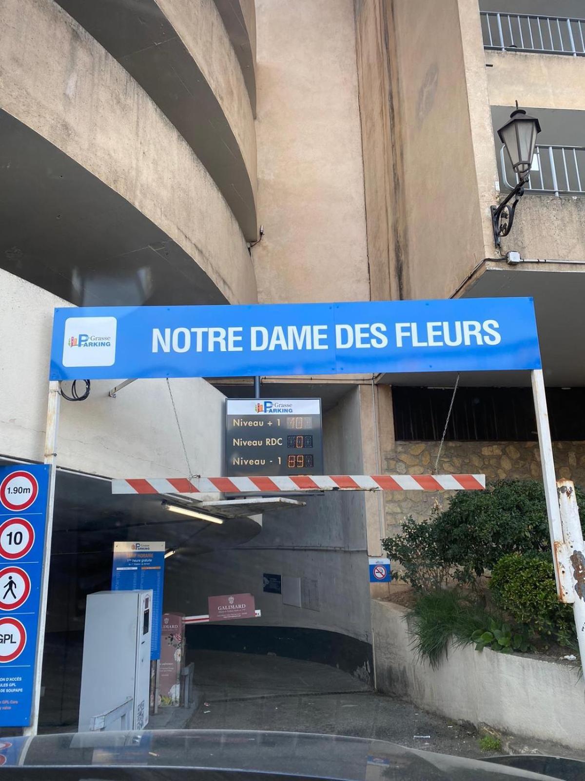 Appartement Coeur De גראס מראה חיצוני תמונה